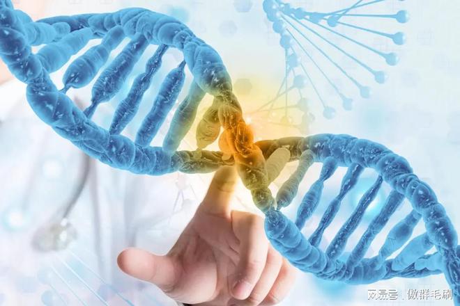 ：“刷” 出生物医药领域洁净新高度pg电子模拟器傲群医疗器械清洁刷(图3)