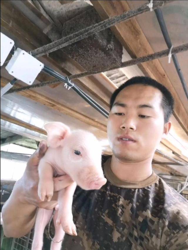 跑到俄罗斯养猪8年还娶到00后大俄美女p
